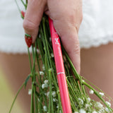 Watermelon Rush Nail Brush